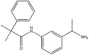  N-[3-(1-aminoethyl)phenyl]-2-methyl-2-phenylpropanamide