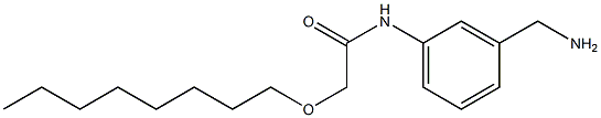 N-[3-(aminomethyl)phenyl]-2-(octyloxy)acetamide Struktur