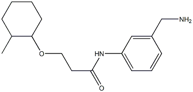 N-[3-(aminomethyl)phenyl]-3-[(2-methylcyclohexyl)oxy]propanamide Structure