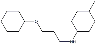 N-[3-(cyclohexyloxy)propyl]-4-methylcyclohexan-1-amine Structure