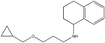 N-[3-(cyclopropylmethoxy)propyl]-1,2,3,4-tetrahydronaphthalen-1-amine Struktur