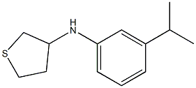 N-[3-(propan-2-yl)phenyl]thiolan-3-amine Structure