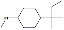 N-[4-(1,1-dimethylpropyl)cyclohexyl]-N-methylamine Struktur