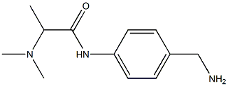 N-[4-(aminomethyl)phenyl]-2-(dimethylamino)propanamide Struktur