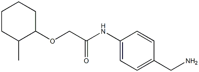  N-[4-(aminomethyl)phenyl]-2-[(2-methylcyclohexyl)oxy]acetamide