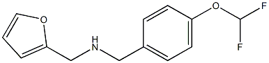 N-[4-(difluoromethoxy)benzyl]-N-(2-furylmethyl)amine 结构式