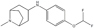 N-[4-(difluoromethoxy)phenyl]-8-methyl-8-azabicyclo[3.2.1]octan-3-amine Struktur