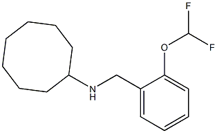 N-{[2-(difluoromethoxy)phenyl]methyl}cyclooctanamine Structure