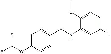 N-{[4-(difluoromethoxy)phenyl]methyl}-2-methoxy-5-methylaniline Structure