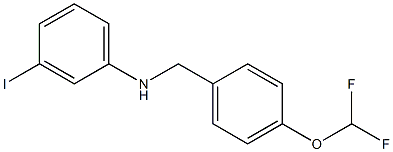 N-{[4-(difluoromethoxy)phenyl]methyl}-3-iodoaniline Struktur