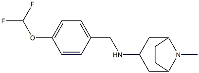 N-{[4-(difluoromethoxy)phenyl]methyl}-8-methyl-8-azabicyclo[3.2.1]octan-3-amine Structure