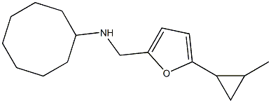 N-{[5-(2-methylcyclopropyl)furan-2-yl]methyl}cyclooctanamine Structure