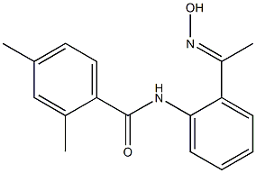 N-{2-[1-(hydroxyimino)ethyl]phenyl}-2,4-dimethylbenzamide,,结构式