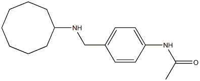 N-{4-[(cyclooctylamino)methyl]phenyl}acetamide