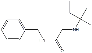 N-benzyl-2-[(2-methylbutan-2-yl)amino]acetamide Structure