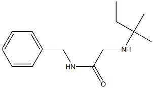 N-benzyl-2-[(2-methylbutan-2-yl)amino]acetamide|