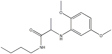 N-butyl-2-[(2,5-dimethoxyphenyl)amino]propanamide Structure