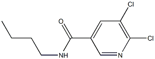 N-butyl-5,6-dichloropyridine-3-carboxamide Struktur