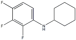 N-cyclohexyl-2,3,4-trifluoroaniline