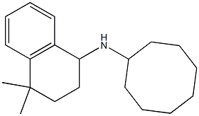 N-cyclooctyl-4,4-dimethyl-1,2,3,4-tetrahydronaphthalen-1-amine 化学構造式