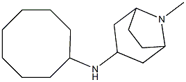 N-cyclooctyl-8-methyl-8-azabicyclo[3.2.1]octan-3-amine 化学構造式