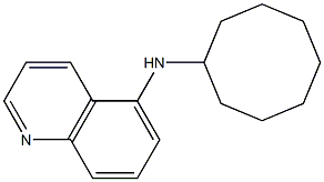 N-cyclooctylquinolin-5-amine 结构式