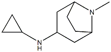 N-cyclopropyl-8-methyl-8-azabicyclo[3.2.1]octan-3-amine Structure