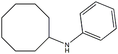 N-phenylcyclooctanamine