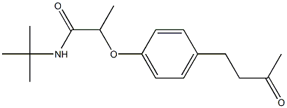 N-tert-butyl-2-[4-(3-oxobutyl)phenoxy]propanamide|