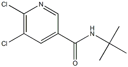 N-tert-butyl-5,6-dichloropyridine-3-carboxamide