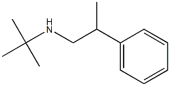 tert-butyl(2-phenylpropyl)amine Structure