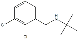 tert-butyl[(2,3-dichlorophenyl)methyl]amine