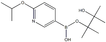 2-异丙氧基吡啶-5-硼酸嚬哪醇酯 结构式