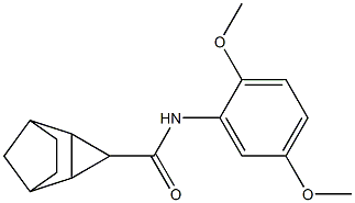 N-(2,5-dimethoxyphenyl)tricyclo[3.2.1.0~2,4~]octane-3-carboxamide Structure