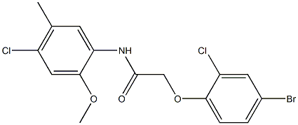 2-(4-bromo-2-chlorophenoxy)-N-(4-chloro-2-methoxy-5-methylphenyl)acetamide