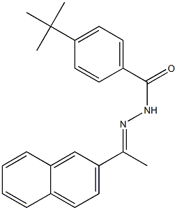 4-(tert-butyl)-N'-[(E)-1-(2-naphthyl)ethylidene]benzohydrazide Struktur