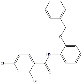 N-[2-(benzyloxy)phenyl]-2,4-dichlorobenzamide 结构式