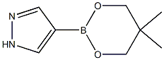 4-(5,5-Dimethyl-1,3,2-dioxaborinan-2-yl)-1H-pyrazole Struktur