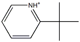2-tert-Butylpyridinium,,结构式