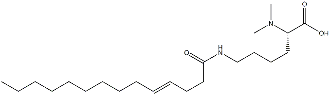 N6-(4-テトラデセノイル)-N2,N2-ジメチルリシン 化学構造式