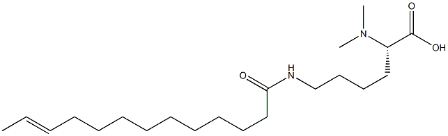 N6-(11-トリデセノイル)-N2,N2-ジメチルリシン 化学構造式