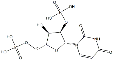Uridine 2',5'-bisphosphoric acid