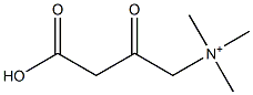 3-Carboxy-N,N,N-trimethyl-2-oxo-1-propanaminium,,结构式