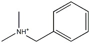 Benzyldimethylammonium|