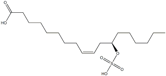 (9Z,12R)-12-(Sulfooxy)-9-octadecenoic acid Struktur