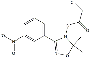 2-Chloro-N-[3-(3-nitrophenyl)-5,5-dimethyl-1,2,4-oxadiazol-4(5H)-yl]acetamide Structure