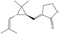 (3E)-ジヒドロ-3-[[(1S,2S)-3,3-ジメチル-2-(2-メチル-1-プロペニル)シクロプロパン-1-イル]メチレン]フラン-2(3H)-オン 化学構造式