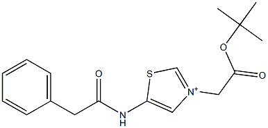 5-[(Phenylacetyl)amino]-3-(2-tert-butoxy-2-oxoethyl)thiazol-3-ium Struktur