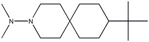 9-tert-Butyl-3-(dimethylamino)-3-azaspiro[5.5]undecane