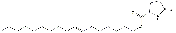 (S)-5-オキソピロリジン-2-カルボン酸7-ヘプタデセニル 化学構造式